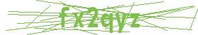 form captcha