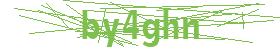 form captcha