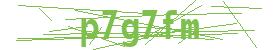 form captcha