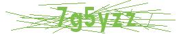 form captcha