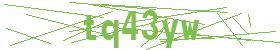 form captcha