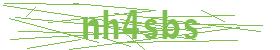 form captcha